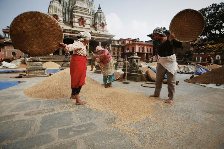 Urban Nepal Habitat day