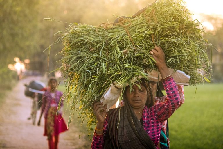 Empowering Voices: International Day of Rural Women